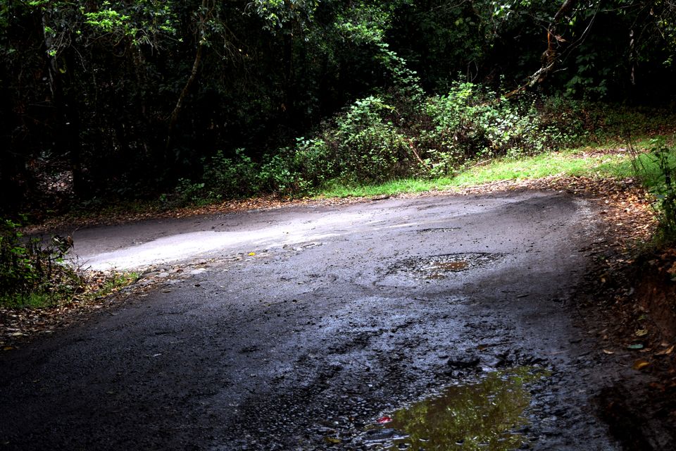 Photo of To Nilgiris and Beyond: The short Ooty stop 9/31 by Rohan Ganesh