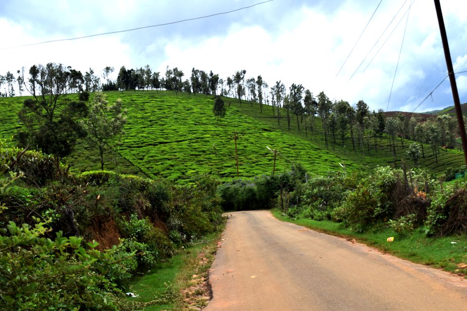 Photo of To Nilgiris and Beyond: The short Ooty stop 11/31 by Rohan Ganesh