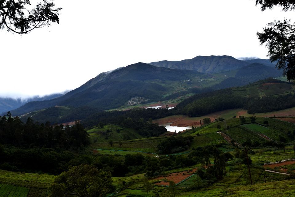 Photo of To Nilgiris and Beyond: The short Ooty stop 17/31 by Rohan Ganesh