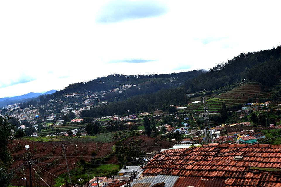 Photo of To Nilgiris and Beyond: The short Ooty stop 22/31 by Rohan Ganesh