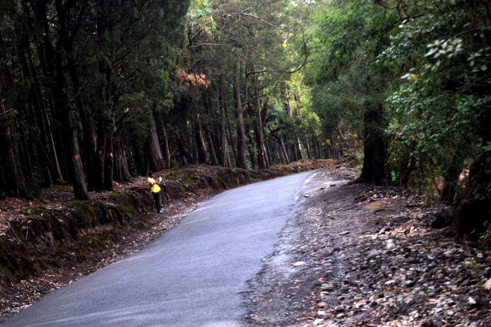Photo of To Nilgiris and Beyond: The short Ooty stop 23/31 by Rohan Ganesh