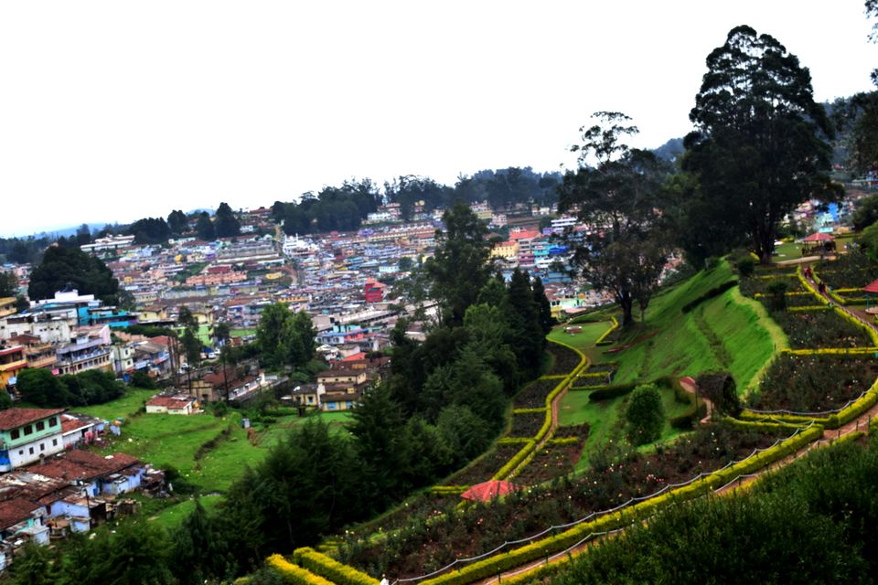 Photo of To Nilgiris and Beyond: The short Ooty stop 29/31 by Rohan Ganesh