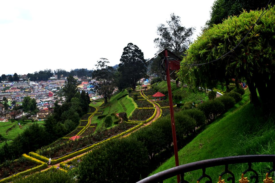 Photo of To Nilgiris and Beyond: The short Ooty stop 30/31 by Rohan Ganesh