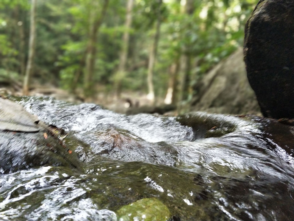 Photo of Lesson learnt in the Mountains 6/7 by Rohan Ganesh