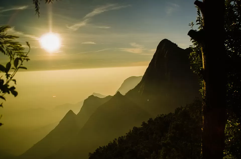 Photo of Kolukkumalai View Point, Kottagudi, Tamil Nadu, India by Rohan Ganesh