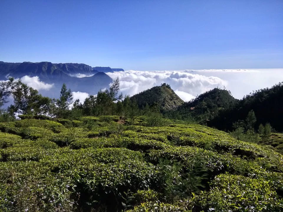 Photo of Kolukkumalai View Point, Kottagudi, Tamil Nadu, India by Rohan Ganesh