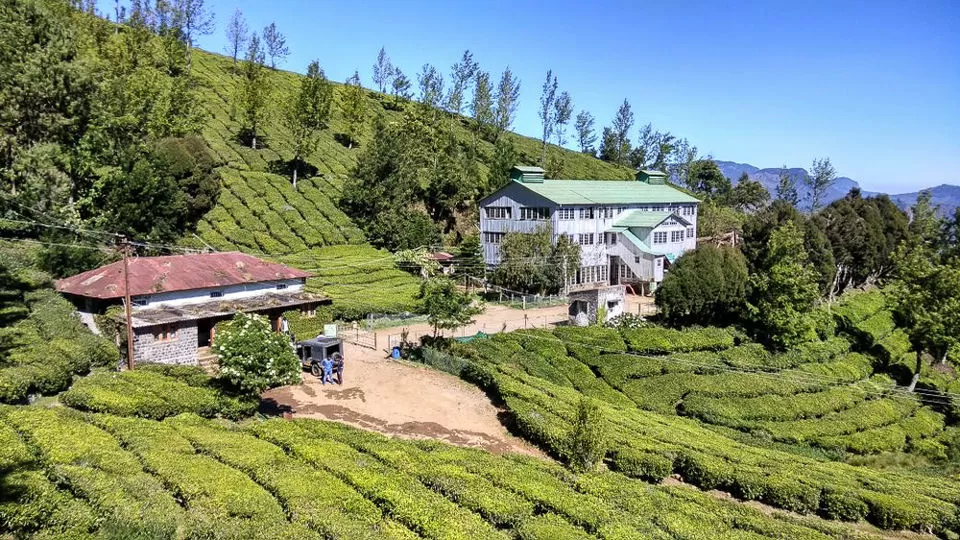 Photo of Kolukkumalai Tea, Moolakadai, Munnar, Kerala, India by Rohan Ganesh