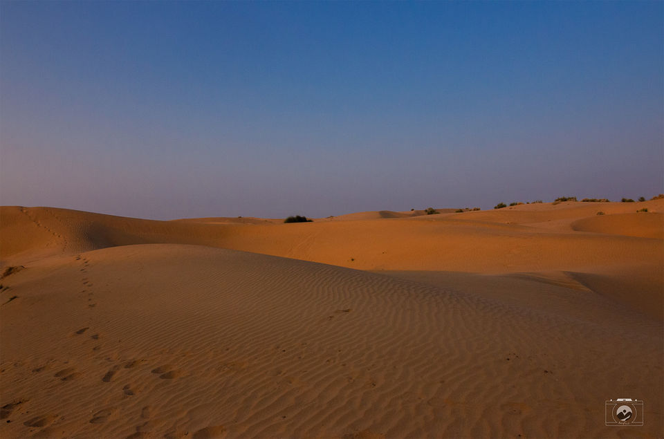 Photo of Thar Desert, Rajasthan by Monuj Sarmah