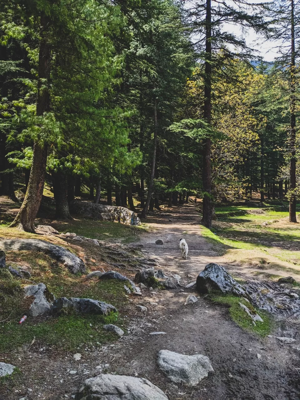 Photo of My Experience of Living in Kasol — What You Shouldn’t Miss in This Little hamlet by Priyansha Srivastava