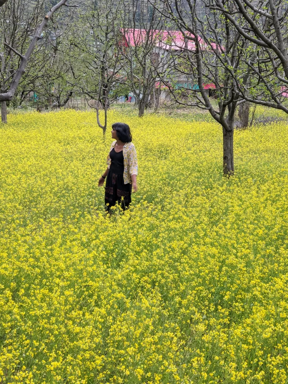 Photo of My Experience of Living in Kasol — What You Shouldn’t Miss in This Little hamlet by Priyansha Srivastava