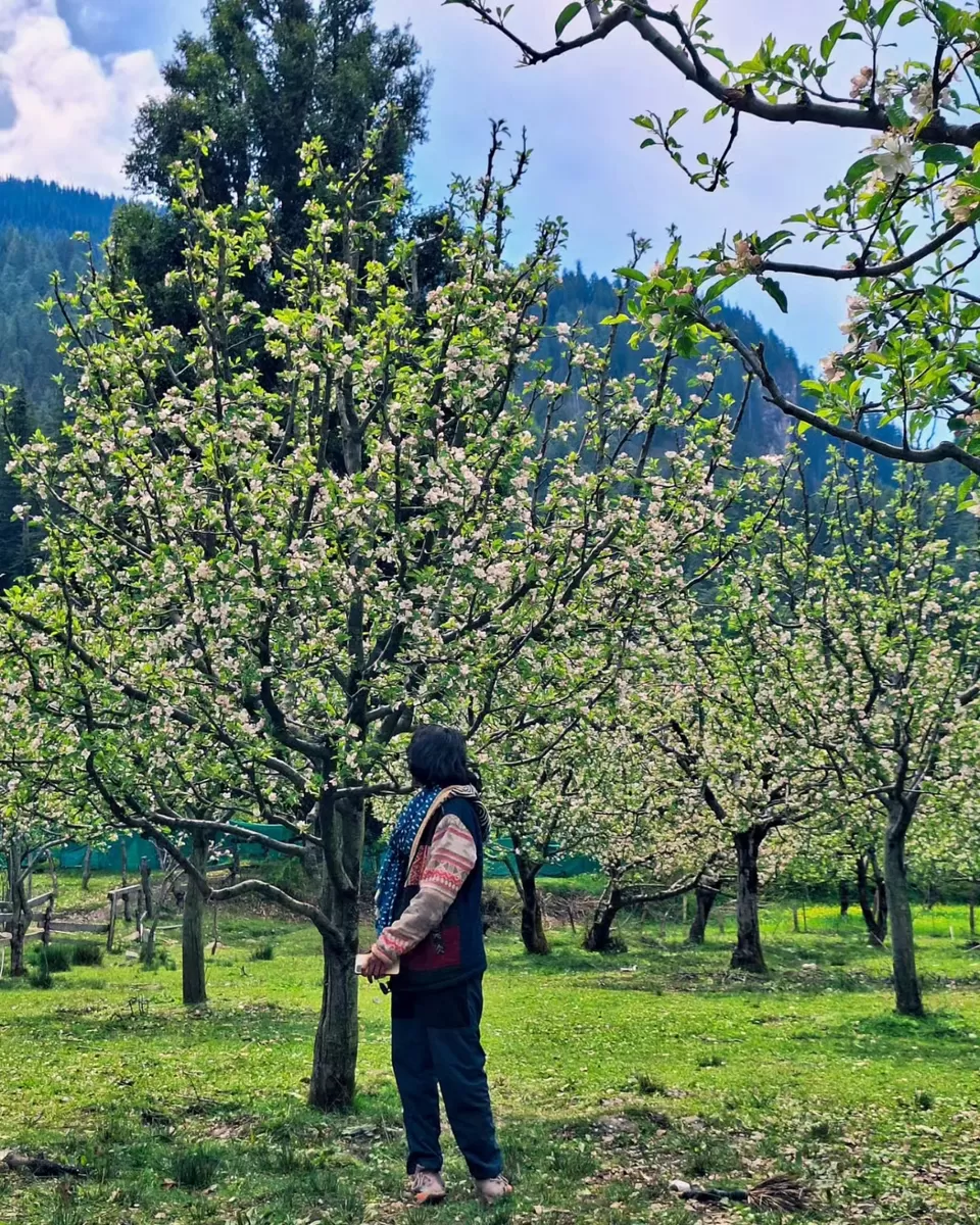 Photo of My Experience of Living in Kasol — What You Shouldn’t Miss in This Little hamlet by Priyansha Srivastava