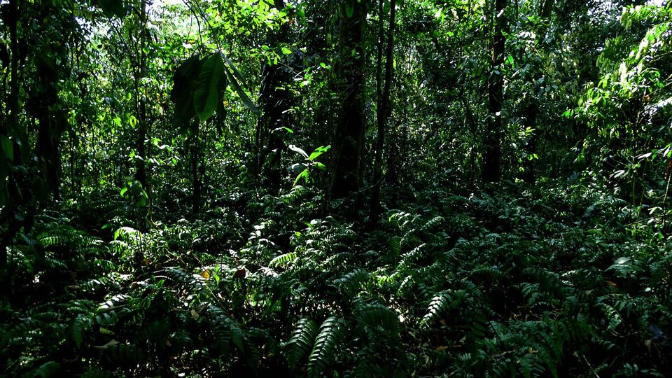 Photo of Tripping In The North East : Assam - Arunachal 78/112 by tribaltrident