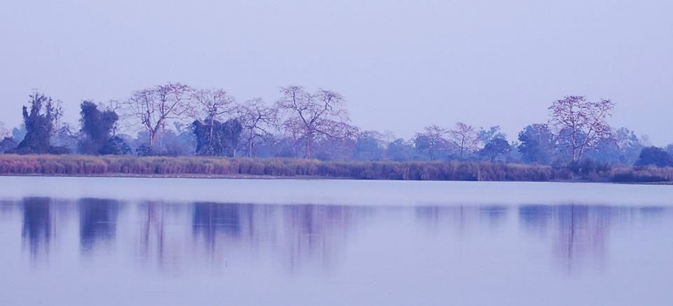 Photo of Tripping In The North East : Assam - Arunachal 8/112 by tribaltrident