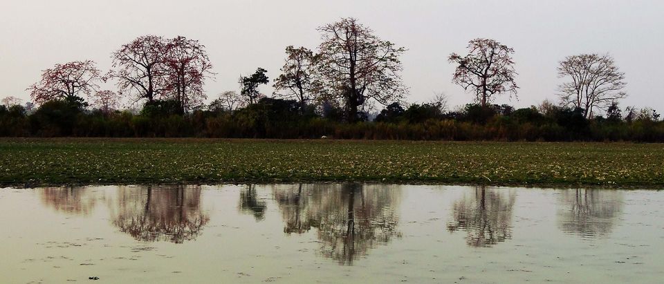 Photo of Tripping In The North East : Assam - Arunachal 12/112 by tribaltrident
