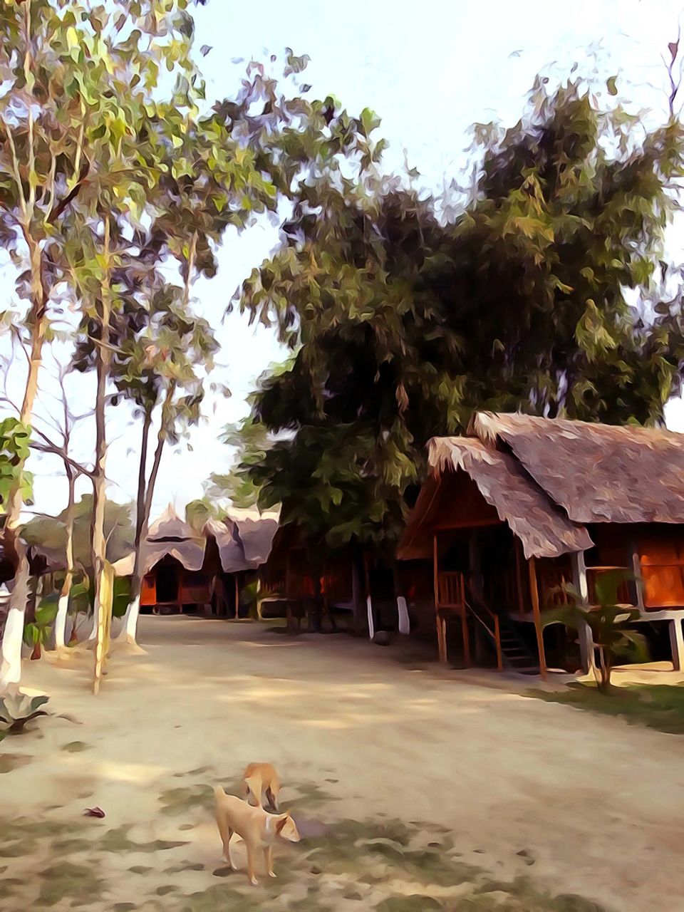 Photo of Tripping In The North East : Assam - Arunachal 71/112 by tribaltrident