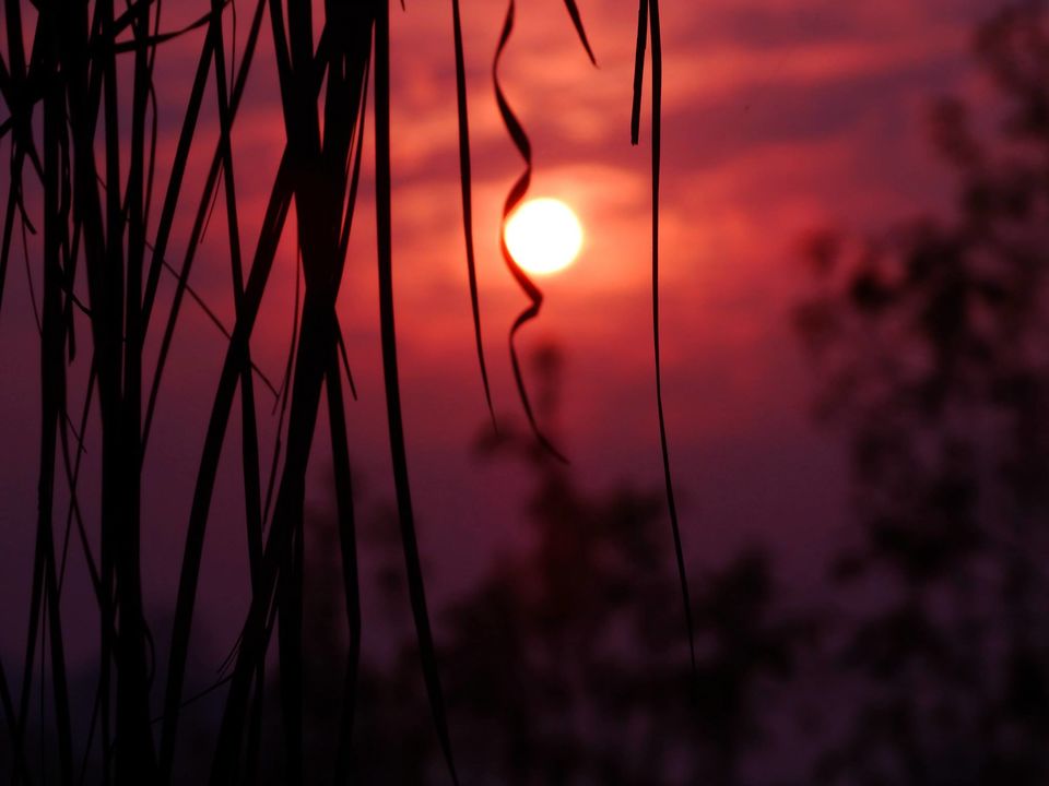 Photo of Tripping In The North East : Assam - Arunachal 104/112 by tribaltrident