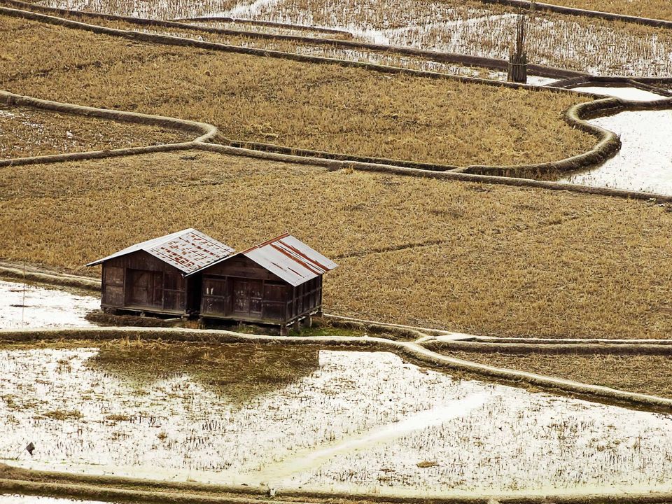 Photo of Tripping In The North East : Assam - Arunachal 63/112 by tribaltrident