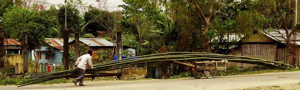 Photo of Tripping In The North East : Assam - Arunachal 46/112 by tribaltrident