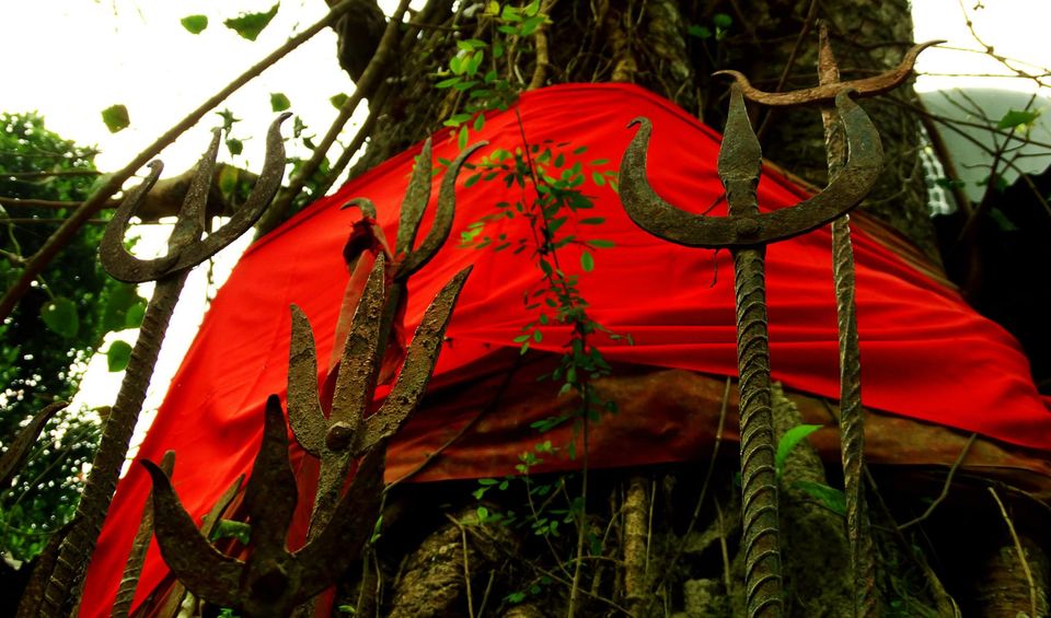 Photo of Tripping In The North East : Assam - Arunachal 26/112 by tribaltrident