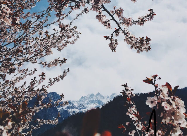 Photo of North Sikkim- A slice of heaven by Swastik Sarkar