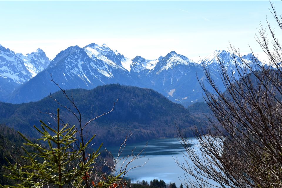 Photo of Neuschwanstein Castle, Neuschwansteinstraße, Schwangau, Germany by coloursofwanderlust