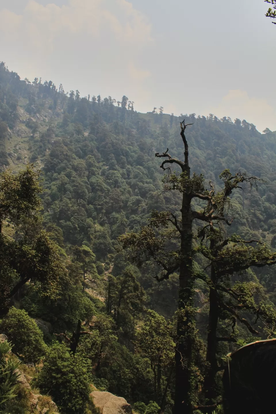 Photo of Dharamshala, Himachal Pradesh, India by Akshay Upadhya