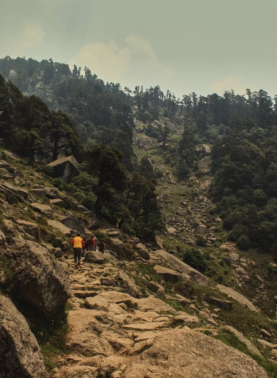 Photo of Dharamshala, Himachal Pradesh, India by Akshay Upadhya