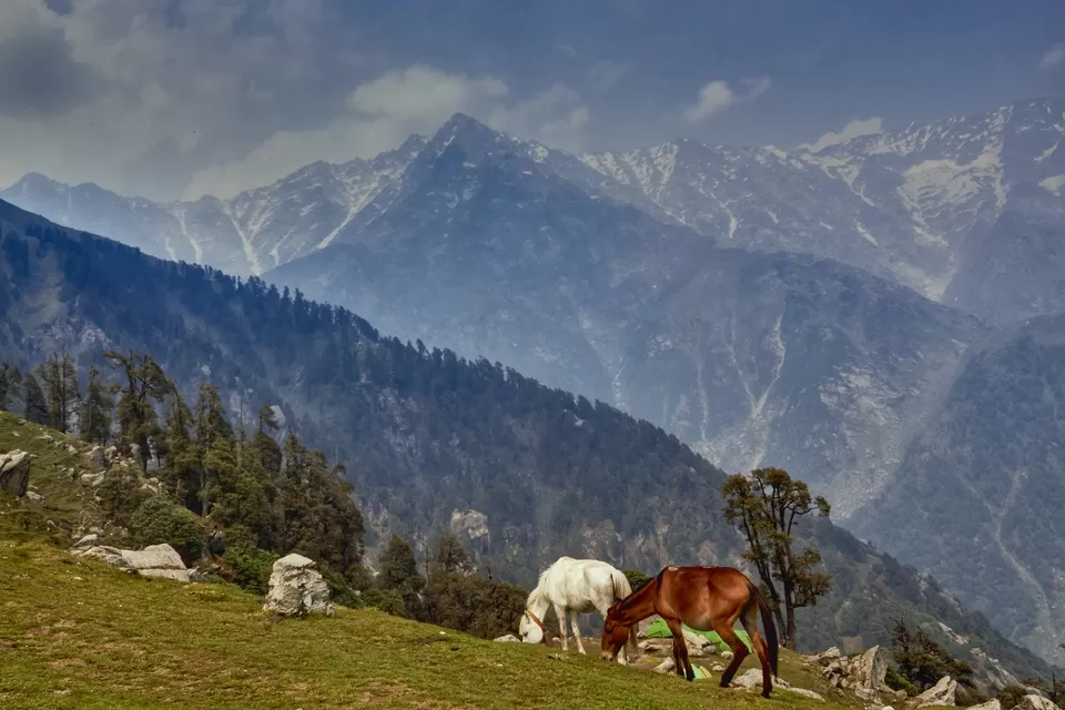 Photo of Dharamshala, Himachal Pradesh, India by Akshay Upadhya