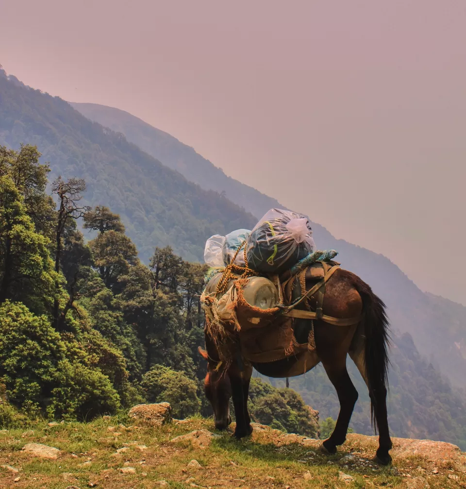 Photo of Dharamshala, Himachal Pradesh, India by Akshay Upadhya