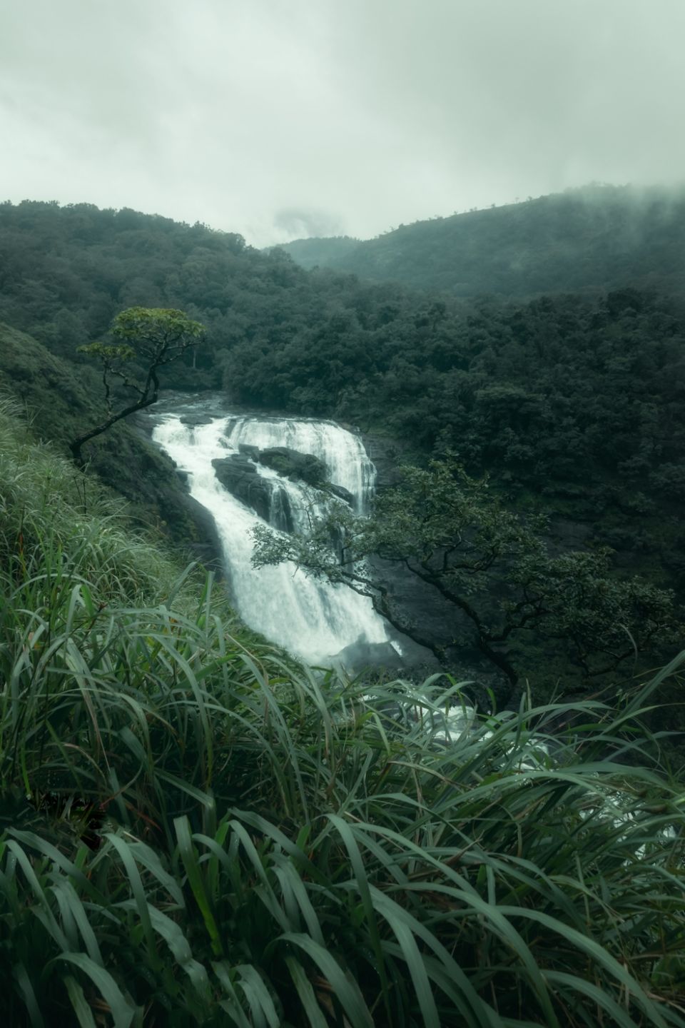 Photo of Moody Mallalli Falls by Akshay Upadhya