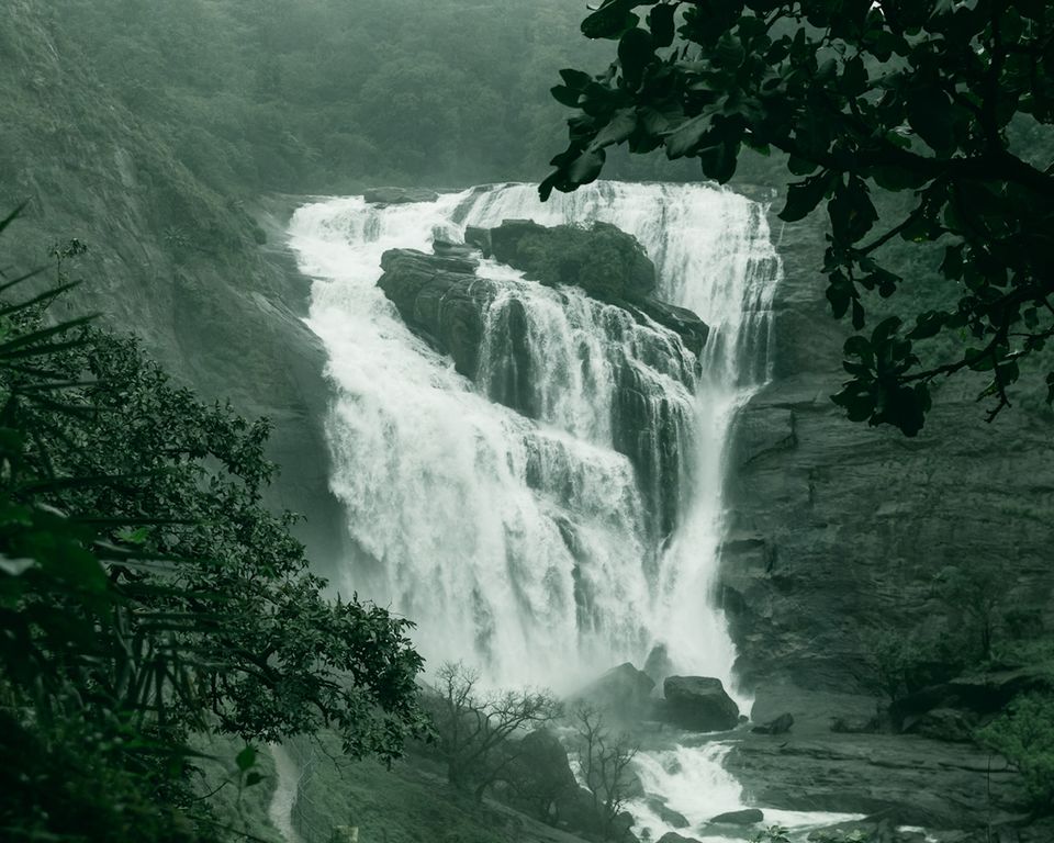 Photo of Moody Mallalli Falls by Akshay Upadhya