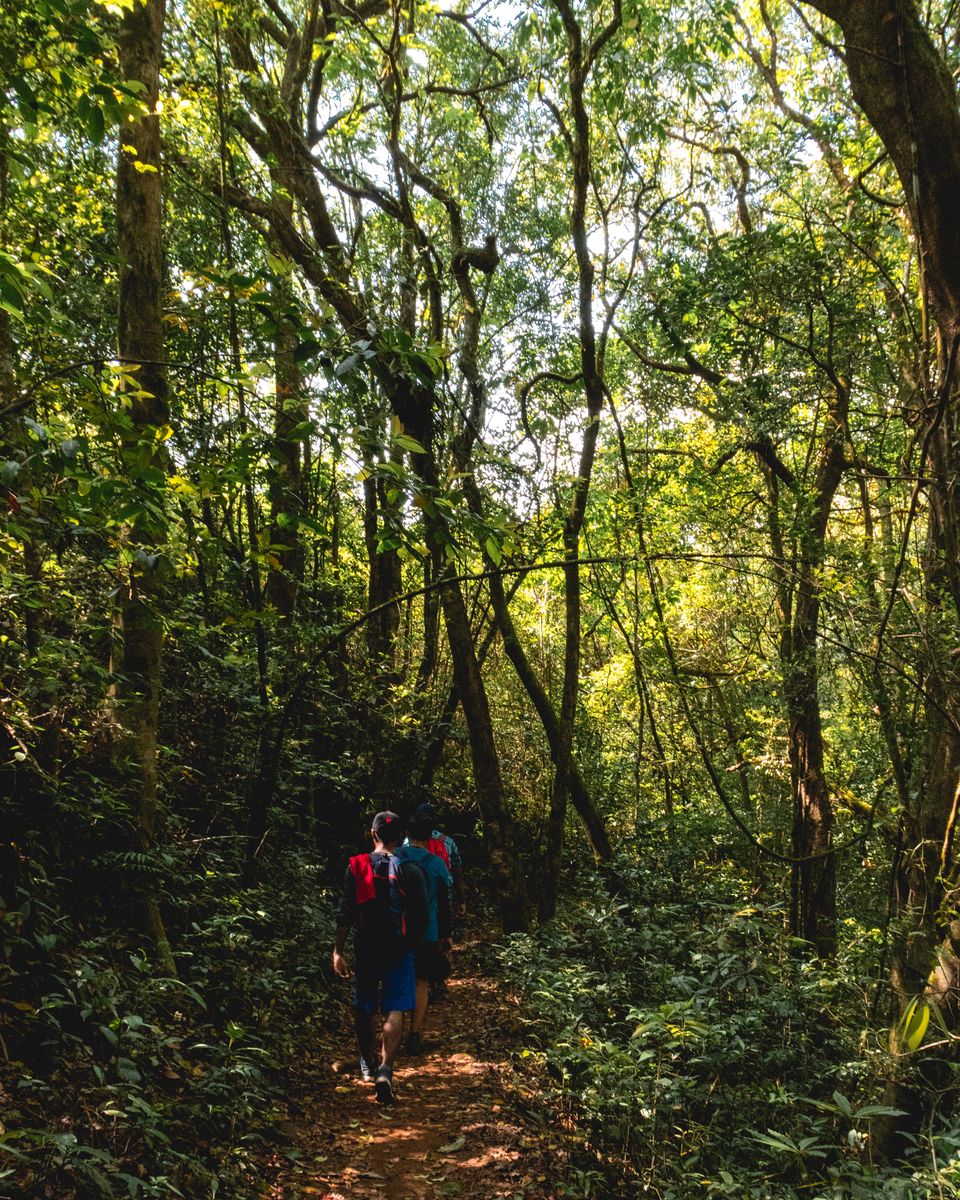 Photo of Enrapturing Western Ghats - Kudremukh, Samse, Horanadu #westernghatsinphotos by Akshay Upadhya