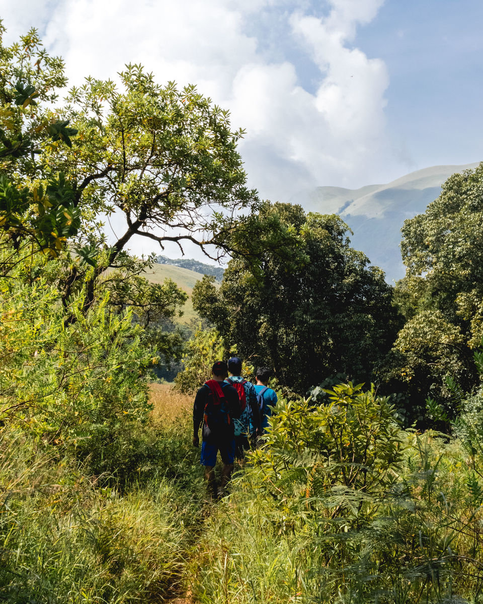 Photo of Enrapturing Western Ghats - Kudremukh, Samse, Horanadu #westernghatsinphotos by Akshay Upadhya