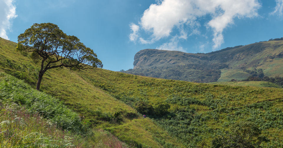 Photo of Enrapturing Western Ghats - Kudremukh, Samse, Horanadu #westernghatsinphotos by Akshay Upadhya