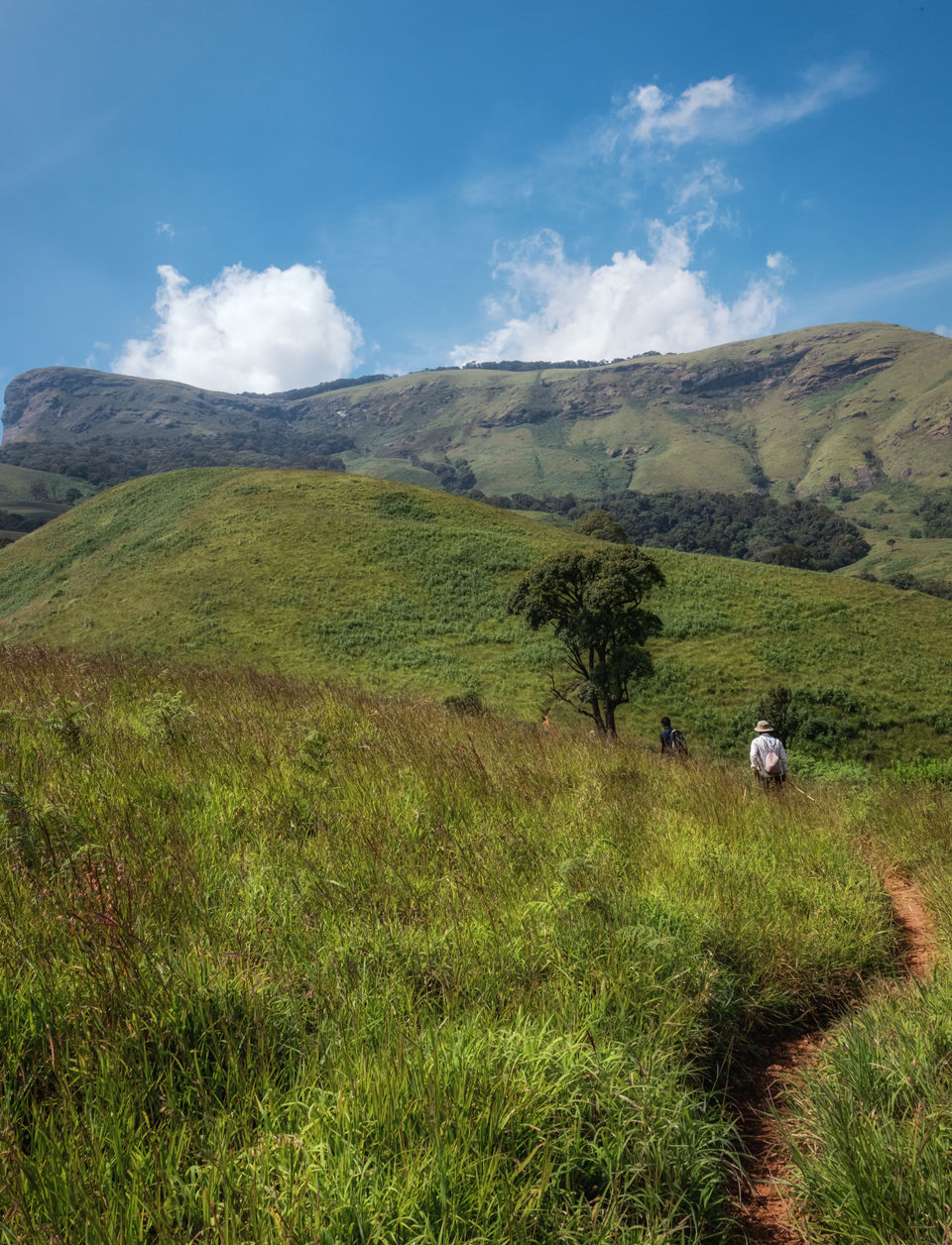 Photo of Enrapturing Western Ghats - Kudremukh, Samse, Horanadu #westernghatsinphotos by Akshay Upadhya