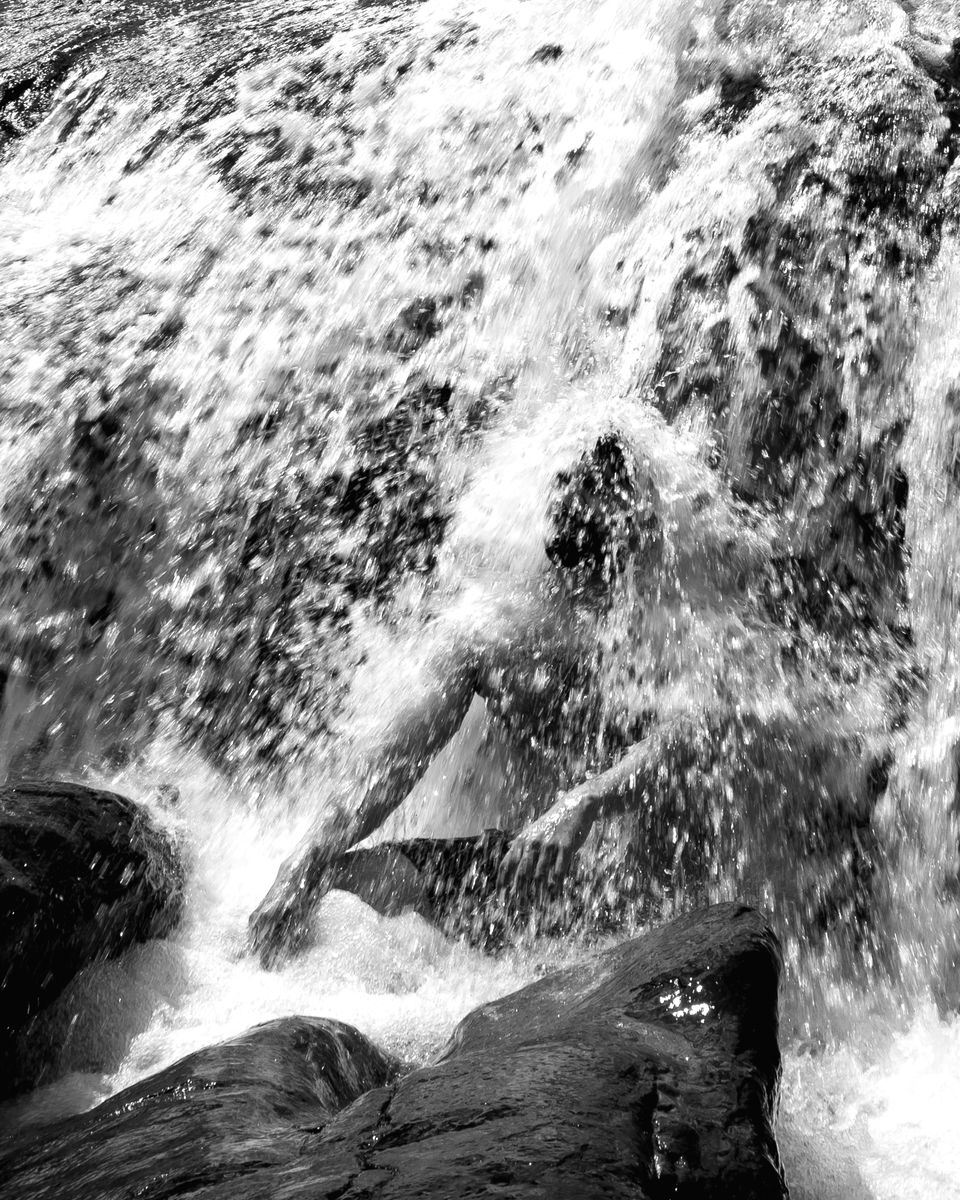 Photo of Enrapturing Western Ghats - Kudremukh, Samse, Horanadu #westernghatsinphotos by Akshay Upadhya