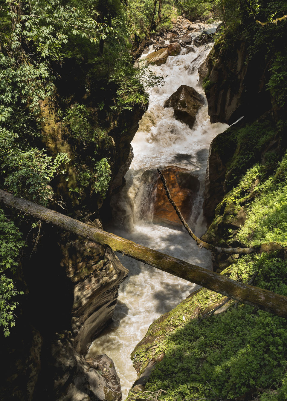 Photo of In the reviving Parvati valley by Akshay Upadhya