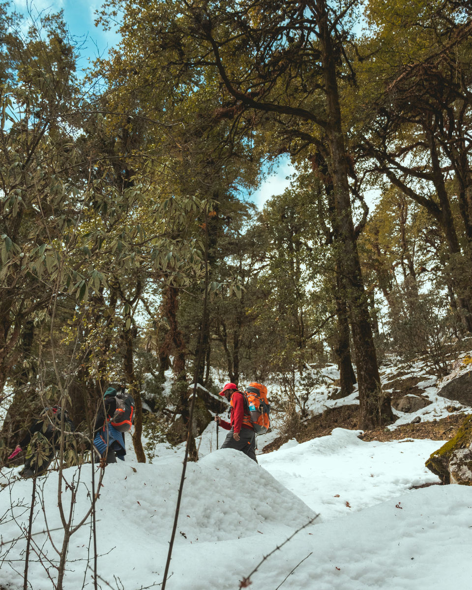 Photo of Winter hike to a frozen lake in the lap of Himalayas. Brahmatal Trek #OffbeatUttarakhand by Akshay Upadhya
