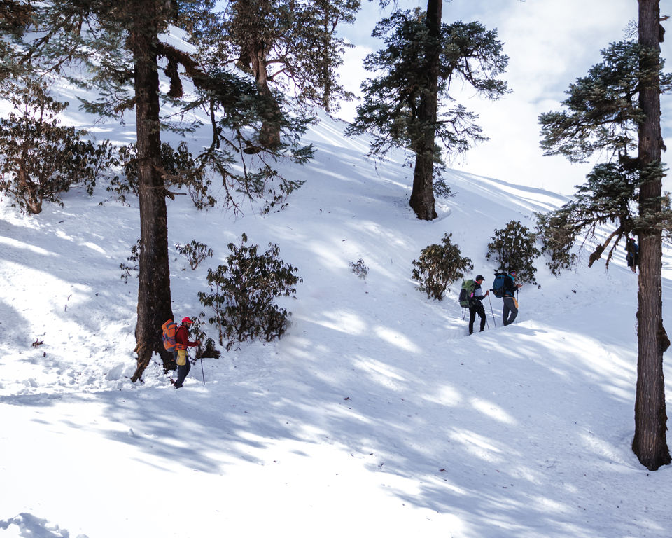 Photo of Winter hike to a frozen lake in the lap of Himalayas. Brahmatal Trek #OffbeatUttarakhand by Akshay Upadhya