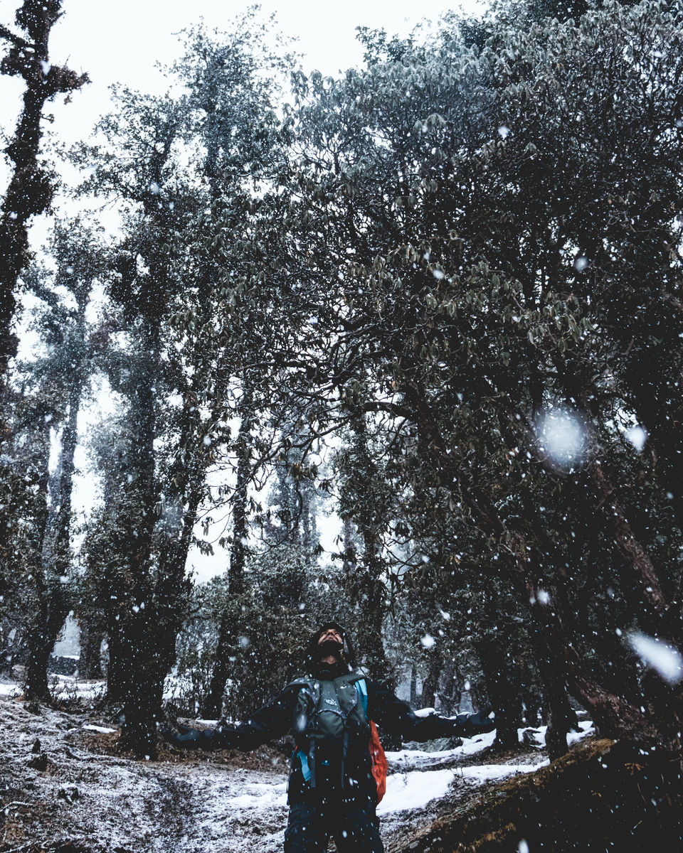 Photo of Winter hike to a frozen lake in the lap of Himalayas. Brahmatal Trek #OffbeatUttarakhand by Akshay Upadhya