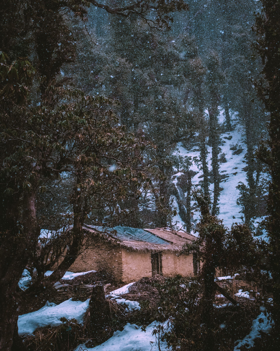 Photo of Winter hike to a frozen lake in the lap of Himalayas. Brahmatal Trek #OffbeatUttarakhand by Akshay Upadhya