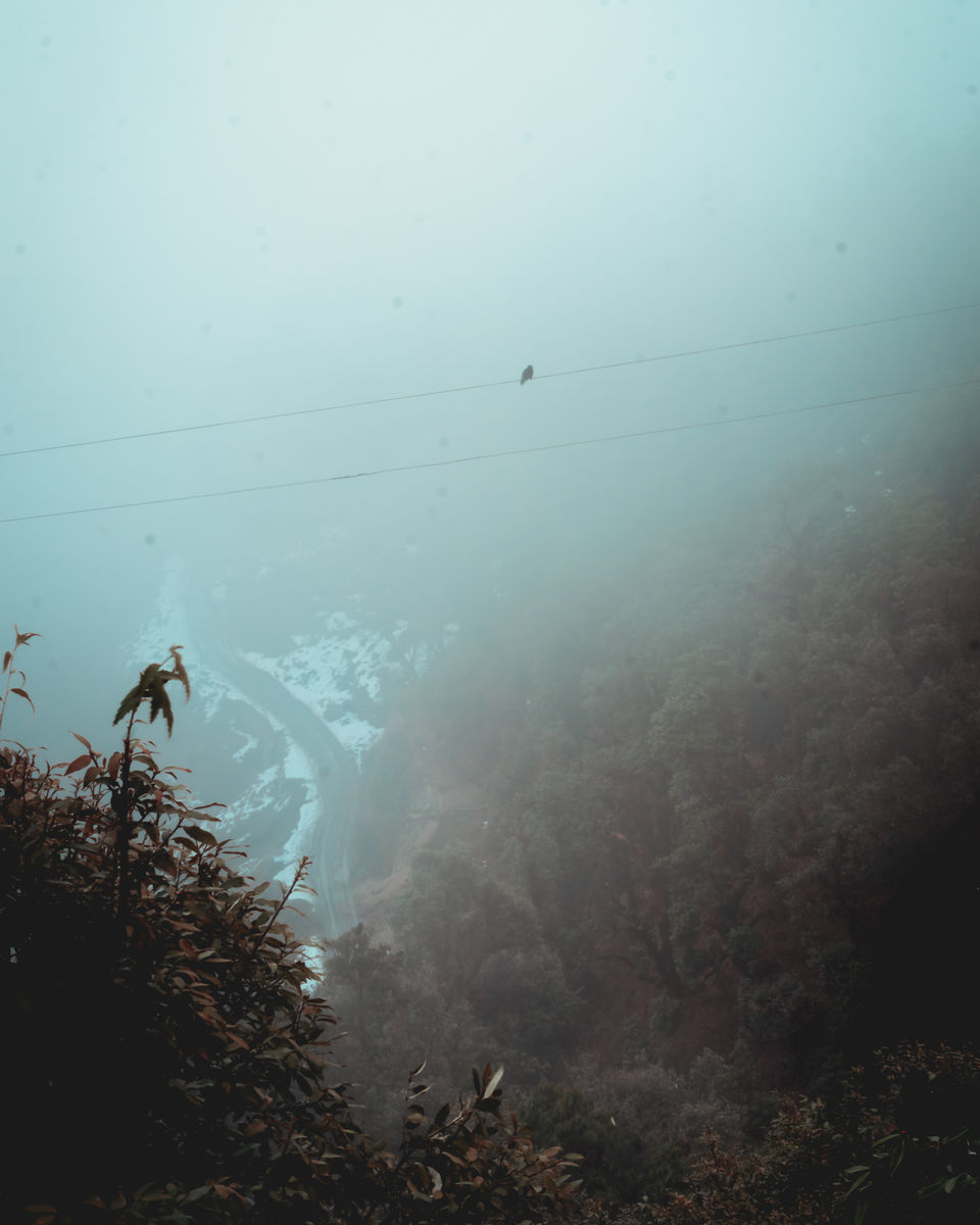 Photo of Winter hike to a frozen lake in the lap of Himalayas. Brahmatal Trek #OffbeatUttarakhand by Akshay Upadhya
