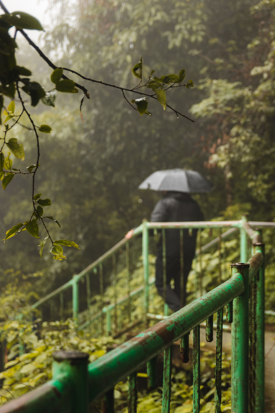 Photo of Jog Falls, Jog Falls, Karnataka, India by Akshay Upadhya