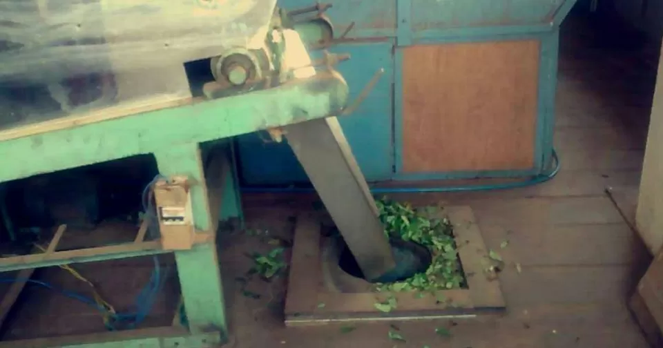 Photo of The Tea Factory and The Tea Museum, Ooty, Tamil Nadu, India by Shubhangani Jain