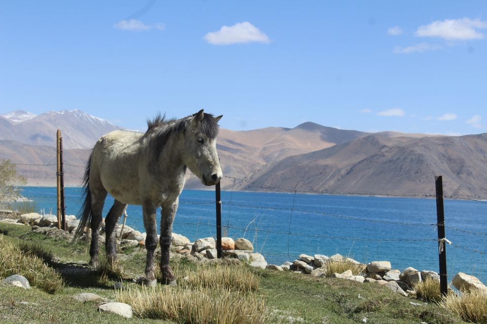 Photo of Ladakh by Hemant Sharma