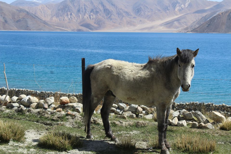 Photo of Ladakh by Hemant Sharma