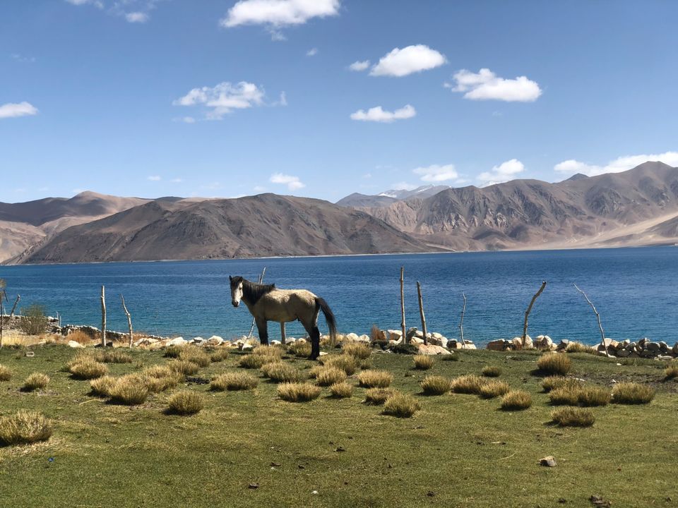 Photo of Ladakh by Hemant Sharma