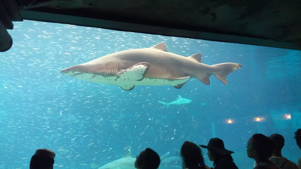 Photo of uShaka Marine World, Point, Durban, South Africa by Sandeep Kumar