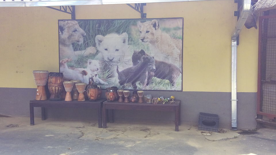 Photo of Lion & Safari Park - Johannesburg,South Africa by Sandeep Kumar