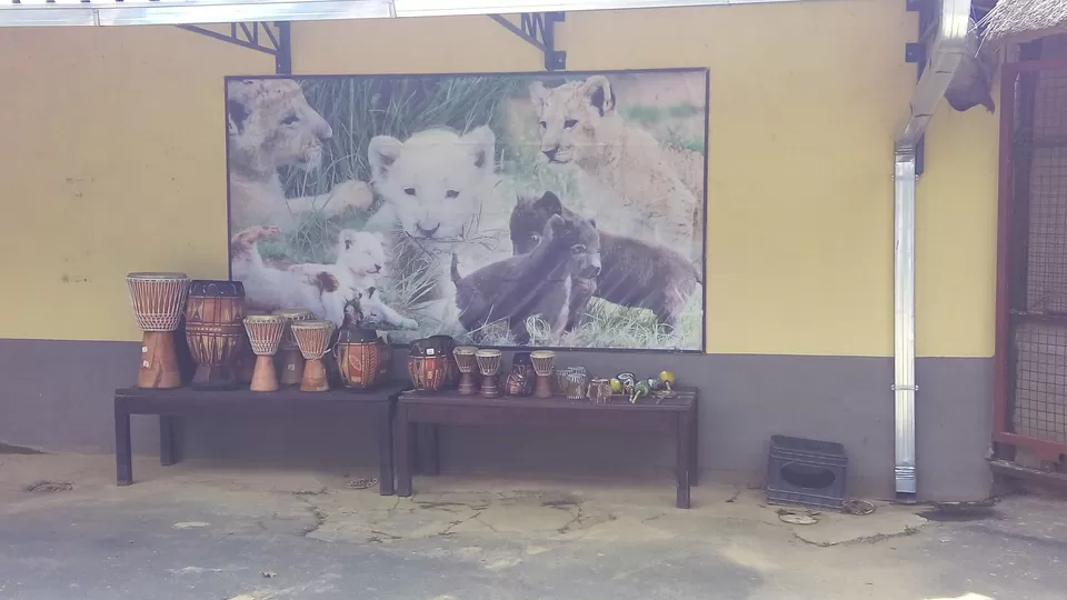 Photo of Lion & Safari Park - Johannesburg,South Africa by Sandeep Kumar